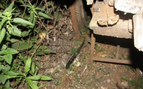 Житель Рузаевки ударил сына ножом в живот из-за отсутствия у последнего работы