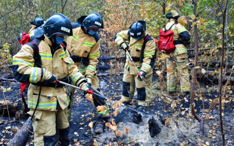За сутки в мордовском заповеднике площадь активного горения уменьшилась на 3 га