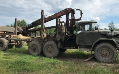 Житель Мордовии, который спилил 15 сосен, выплатил 720 тысяч рублей