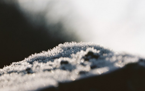 МЧС предупреждает жителей Мордовии о ночных заморозках