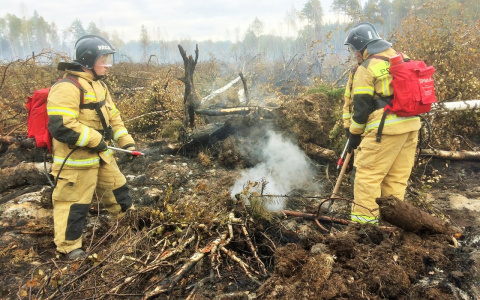 Работы по ликвидации пожара в мордовском заповеднике продолжаются