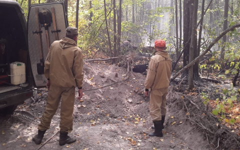 В Мордовии потушили пожар в Пурдошанском участковом лесничестве