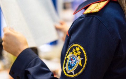 В Краснослободске бизнесмен пытался присвоить бюджетные средства, но они закончились