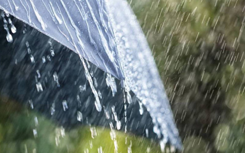 10 сентября в Мордовии будет облачно и дождливо, температура поднимется до 20 градусов