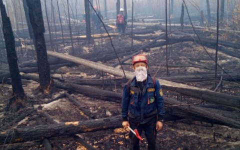 В Мордовии полностью ликвидировали лесной пожар в заповеднике