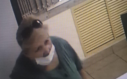 Полиция ищет женщину, укравшую портмоне из магазина в Саранске