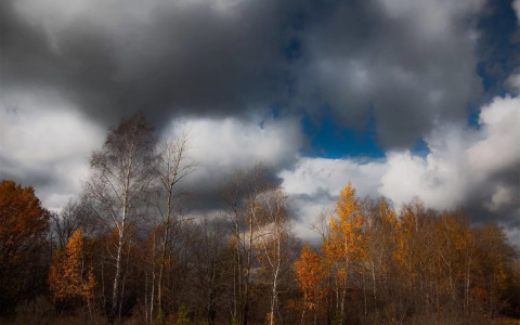 15 сентября в Мордовии будет облачно и без осадков, похолодает до 12 градусов