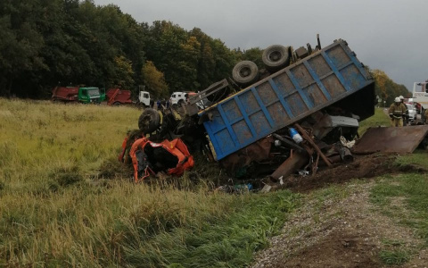 Из-за оторвавшегося колеса в Мордовии перевернулся КАМАЗ (ФОТО)