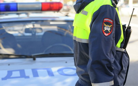 В Торбеевском районе задержали нетрезвого водителя мотоблока