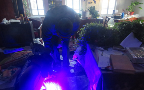 Житель Мордовии хладнокровно задушил пожилую соседку подушкой