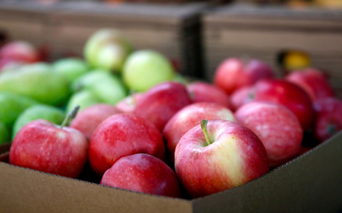 В Зубово-Полянском районе неизвестные заплатили за яблоки фальшивой купюрой