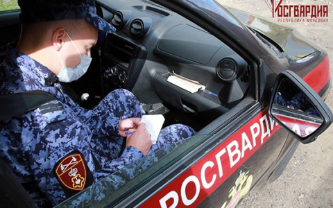 Мимо кассы: В Саранске женщина попалась на краже товара из магазина