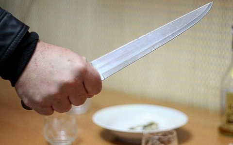 Жителя Саранска, зарезавшего незваного гостя, отправили в колонию строгого режима