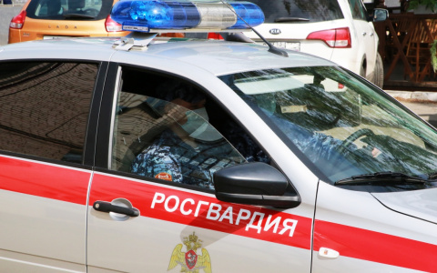 В Саранске поймали местного жителя, пытавшегося украсть алкоголь