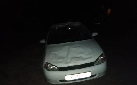 Пьяный житель Мордовии угнал у сестры «Калину» и разбил ее