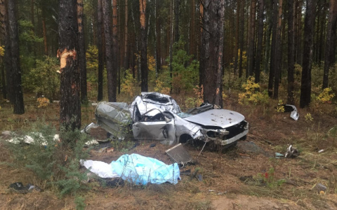 В Мордовии иномарка вылетела в кювет и врезалась в дерево: погибли два молодых парня
