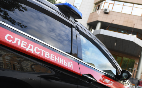 Жительница Мордовии случайно задушила ребенка во время сна