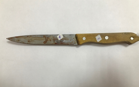 В Саранске сожители пытались зарезать друг друга