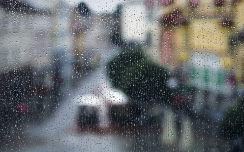 Погода в Мордовии 27 сентября: ветрено и дождливо