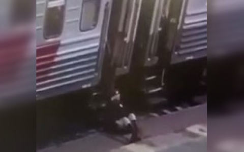 Появились подробности инцидента с упавшей проводницей в Мордовии