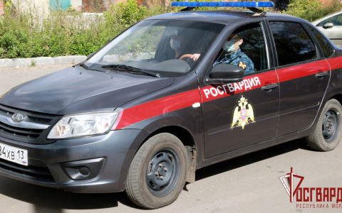 В Саранске «романтик» залез в окно к бывшей возлюбленной