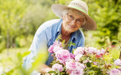 В Саранске с 1 октября будут проходить мероприятия в рамках Месячника пожилых людей