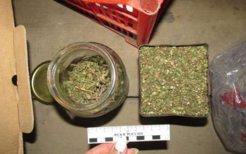 Житель Саранска хранил в гараже 226 граммов наркотических веществ