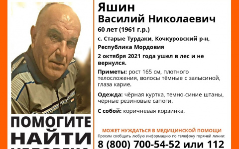«Лиза Алерт» просит жителей Мордовии помочь в поисках пропавшего без вести грибника