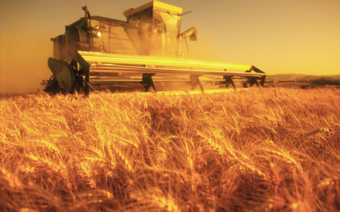 РСХБ запускает формат удобного общения с фермерами