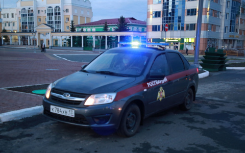 Росгвардейцы задержали мужчину, который пытался украсть дорогой алкоголь из магазина в Саранске