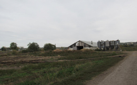 Более тонны кукурузы украл тракторист с фермы в Мордовии