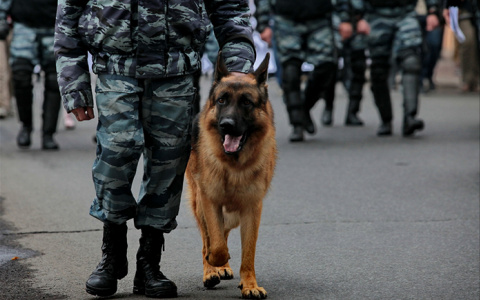 Полиция Саранска разыскивает похитителей рекламного штендера