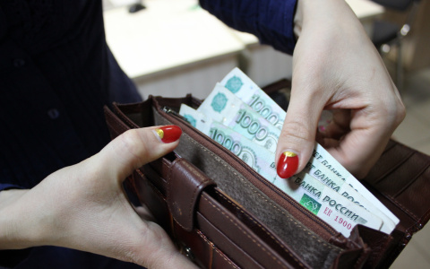 Более четверти жителей Мордовии готовы работать за зарплату в размере от 12 до 20 тысяч рублей
