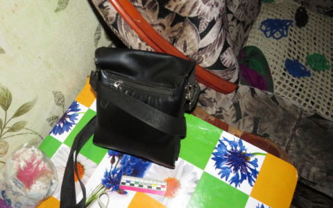 В Мордовии 16-летний подросток украл деньги у своего родственника