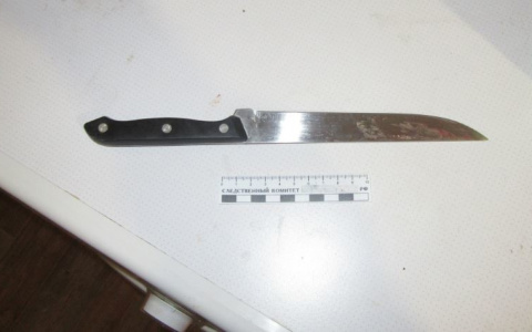 Жительница Саранска зарезала сожителя, который ее избивал и оскорблял