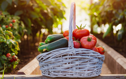 Россельхозбанк: объем рынка органической продукции России к концу 2021 года может составить более 12 млрд руб.