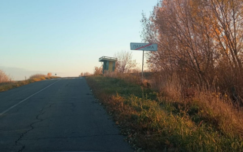 В Мордовии «Лада» съехала в кювет и опрокинулась: водитель погиб