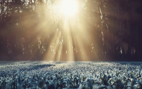 Синоптик рассказал, что в ближайшие дни погоду в России будет «лихорадить»