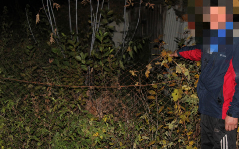 Житель Мордовии незаконно хранил почти килограмм марихуаны