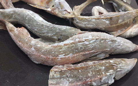 В Мордовии задержали браконьеров, а также начальника отдела полиции