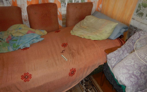 Житель Мордовии пытался зарезать односельчанина из-за 200 рублей