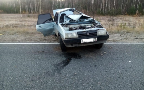 В Мордовии молодой водитель опрокинул «ВАЗ»: есть пострадавшие