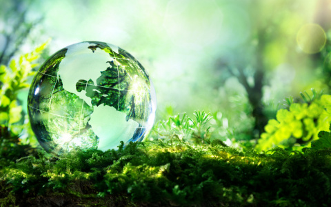 Россельхозбанк создает Фонд «Экология» для поддержки устойчивого развития АПК