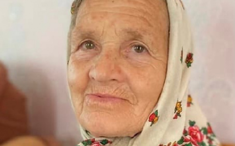 Пожилая женщина пропала без вести в Мордовии