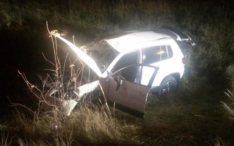 На дороге Саранск — Рузаевка иномарка вылетела в кювет