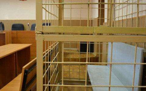 Жительница Саранска пыталась зарезать зятя, который ей не нравился