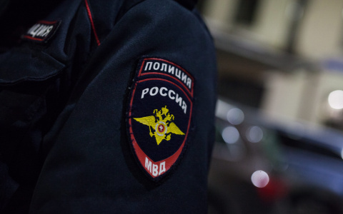 Житель Саранска подрался в кафе с мужчиной, а также украл у него кольцо и часы