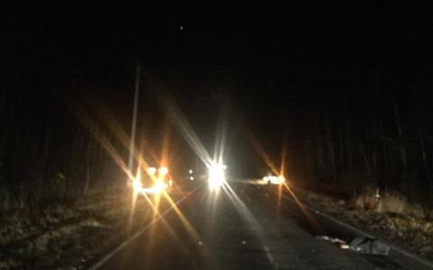 В Мордовии пешехода сбили сразу два автомобиля: мужчина погиб