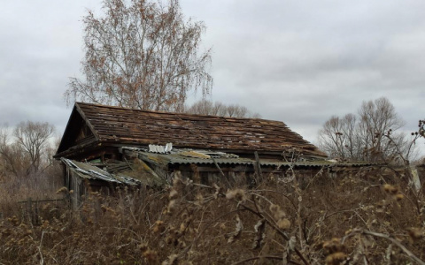 В Мордовии двое мужчин похитили металлическую кровлю с дачного дома