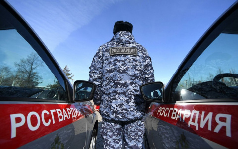 В Рузаевке пьяный мужчина на автомобиле врезался в стену